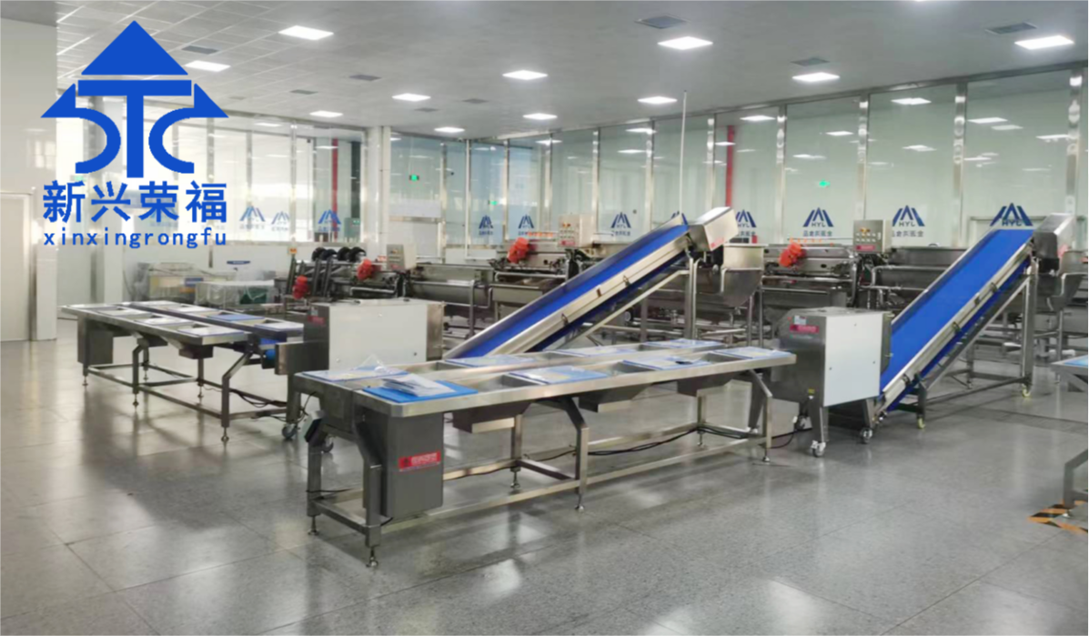 日供蔬菜20噸，新興榮福承建凈菜加工項(xiàng)目完成驗(yàn)收